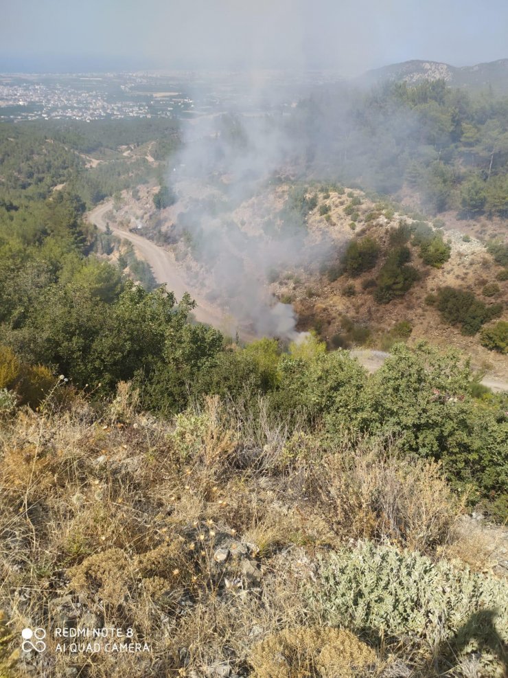 Hatay'da ormanı 8 noktadan ateşe veren şüpheli tutuklandı
