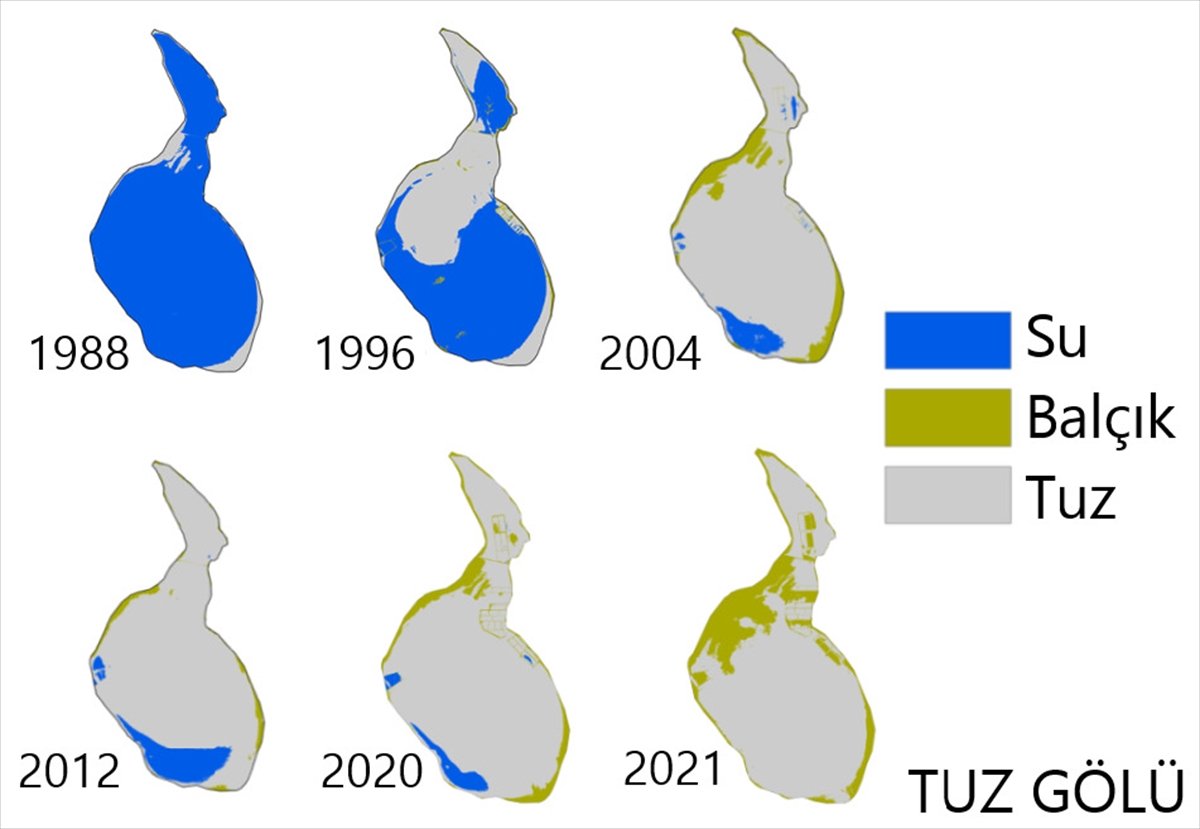 20210818-2-49659946-68000841-web.jpg