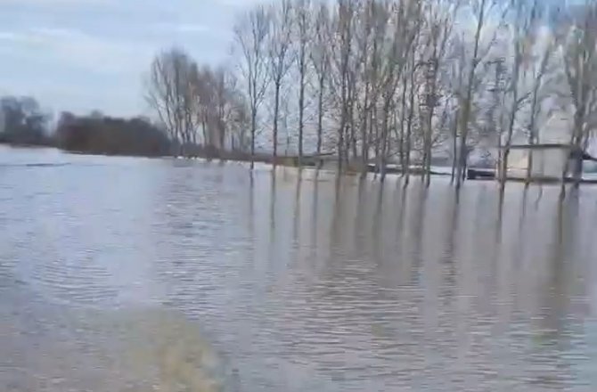 Meriç Nehri’nde taşkın alarmı: Köy halkı kayıkla geziyor
