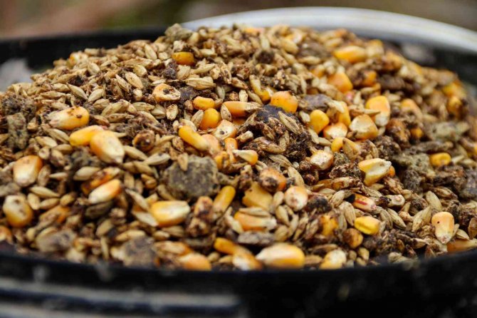 Dövizdeki düşüş üreticiyi umutlandırdı