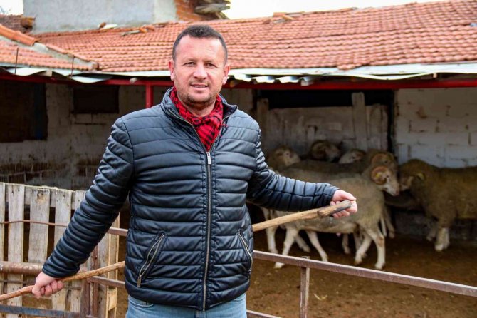 Dövizdeki düşüş üreticiyi umutlandırdı