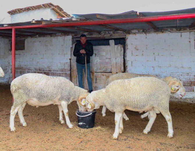 Dövizdeki düşüş üreticiyi umutlandırdı