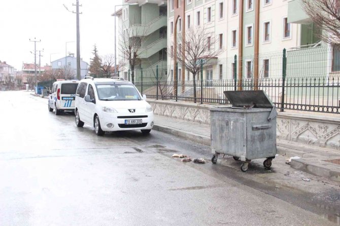 'Kedilerin derisini yüzdüler' ihbarına giden polis bakın ne buldu