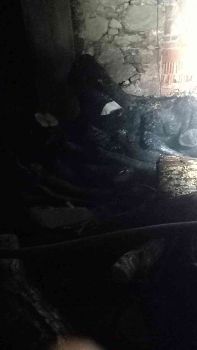 Çıkan yangında 2 ev küle döndü