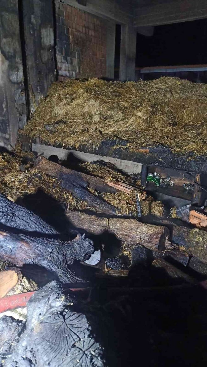 Çıkan yangında 2 ev küle döndü