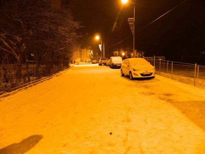 Yoldan kayan tır evin bahçesine girdi