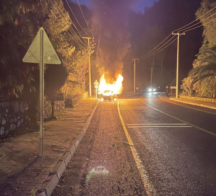 Hafif ticari araçta çıkan yangın ormana sıçramadan söndürüldü