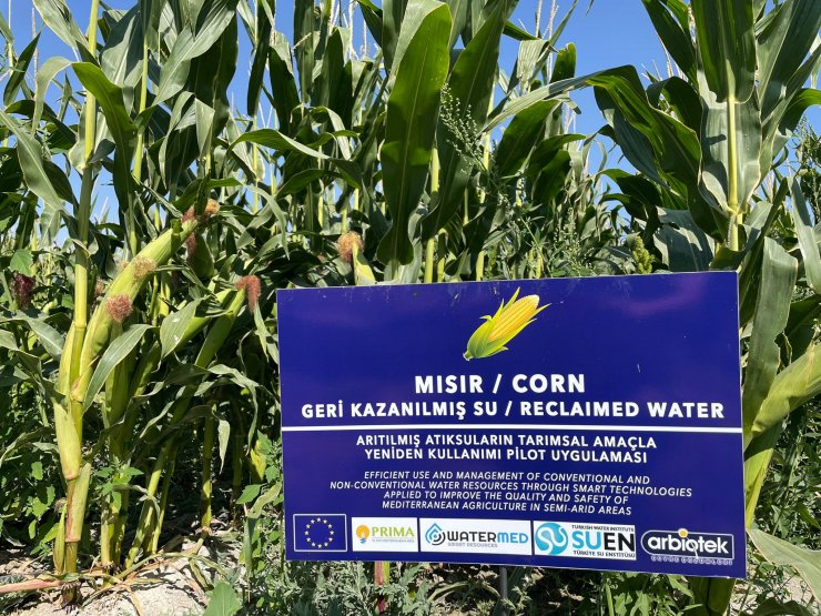 Konya’da arıtılmış atık suyla tarım başarılı oldu