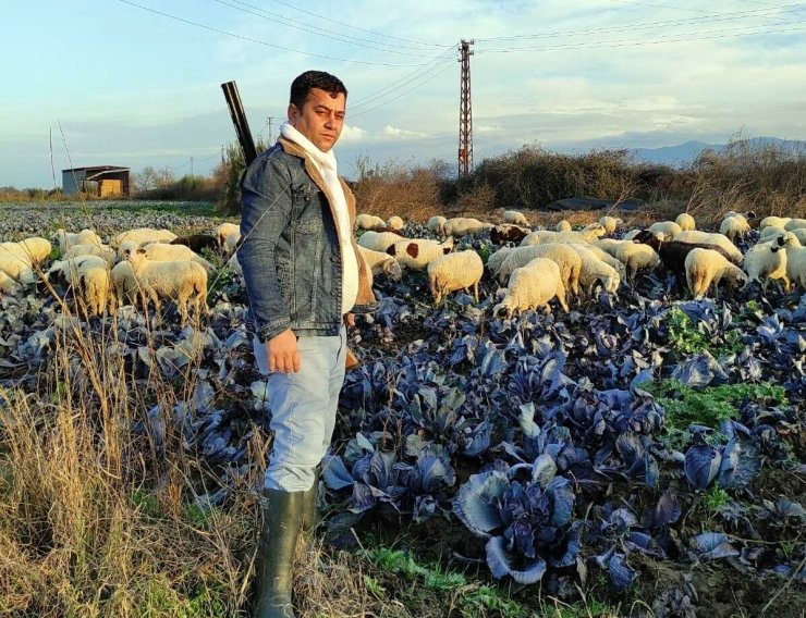 Tartıştığı torununu av tüfeğiyle öldürdü