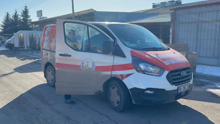 Esnafın yakaladığı pitbull barınağa götürüldü