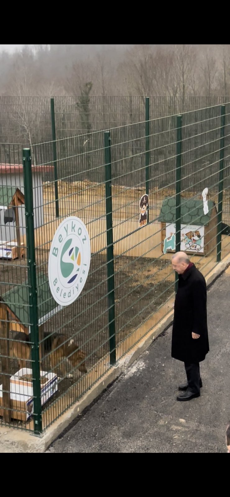 Cumhurbaşkanı Erdoğan, hayvan barınağını ziyaret etti