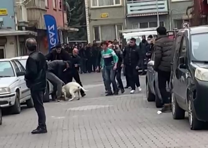 Malatya’daki pitbullu saldırı anı kamerada