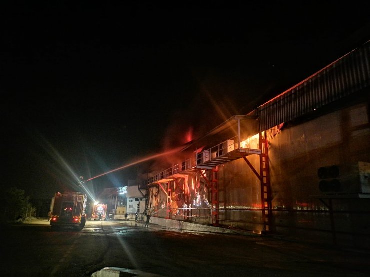 Hatay’da soğuk hava deposunda yangın