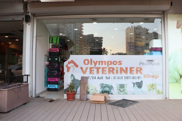 Veteriner hekimden coplu saldırı şikayeti