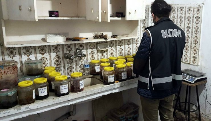 Kaçak tütün operasyonu; 2 tutuklama