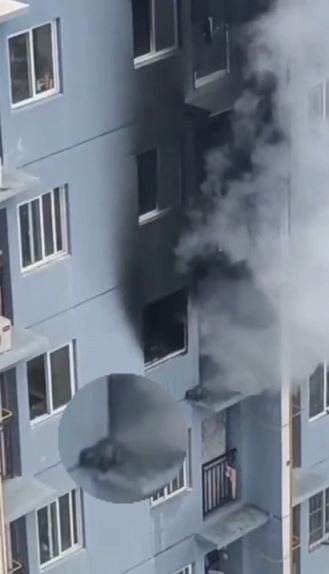 Alevlerden kaçıp balkona sığınan köpeği itfaiye kurtardı