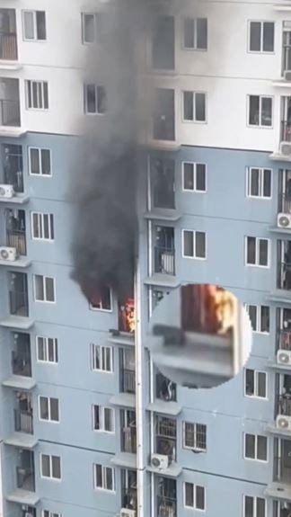 Alevlerden kaçıp balkona sığınan köpeği itfaiye kurtardı