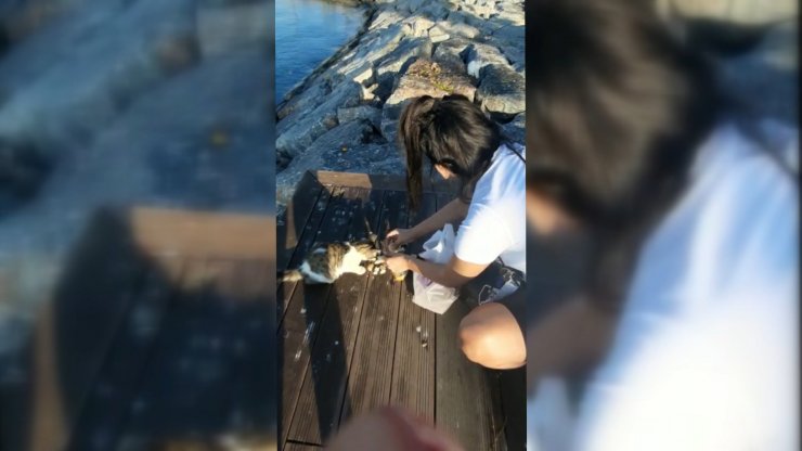 Avukat Dilara Yıldız'ın dayısı: 'Dayı beni kurtar' diye mesaj attı ama ben yetişemedim