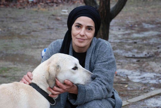 Başıboş köpekler, mahallelinin kabusu oldu