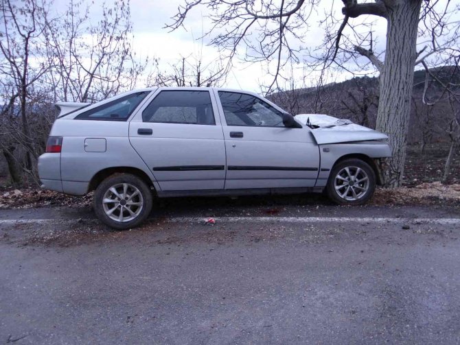 Ceviz ağacına çarpan aracın sürücüsü ağır yaralandı