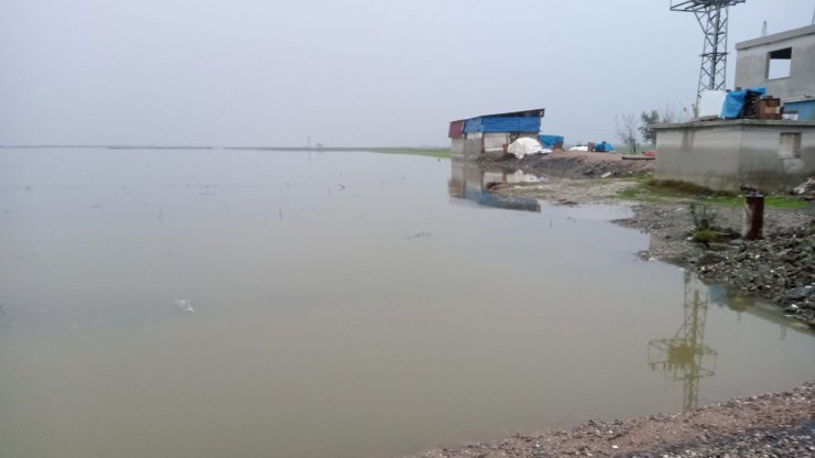 Hatay'da sağanak yaşamı olumsuz etkiledi, tarlalar su altında kaldı