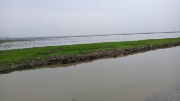 Hatay'da sağanak yaşamı olumsuz etkiledi, tarlalar su altında kaldı