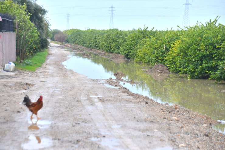Tarım arazileri su altında kaldı