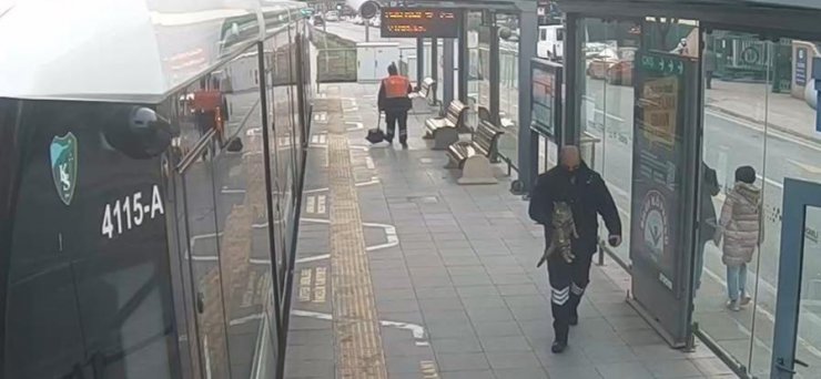 Tramvay altına giren kediyi, acil durum butonuna basan görevli kurtardı