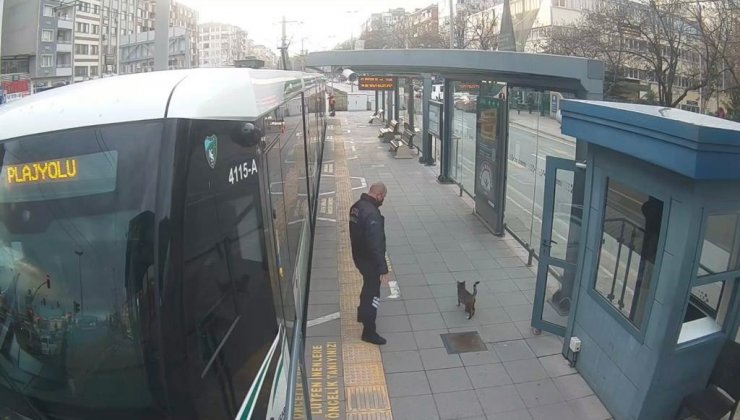 Tramvay altına giren kediyi, acil durum butonuna basan görevli kurtardı