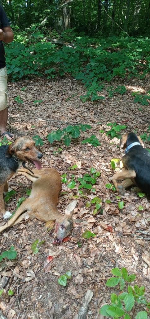 Yasağa rağmen avlanıp, sosyal medyada paylaştı; ceza kesildi
