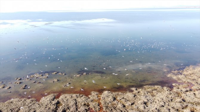 Beyşehir Gölü'nde kuraklıkla oluşan adacıklar, kış yağışlarıyla su altında kaldı