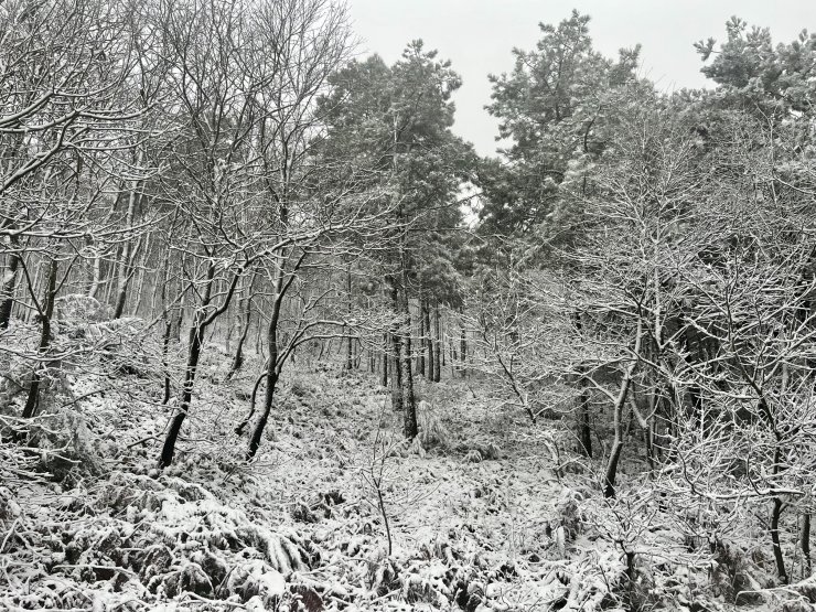 İstanbul'un yüksek kesimlerinde kartpostallık görüntüler oluştu