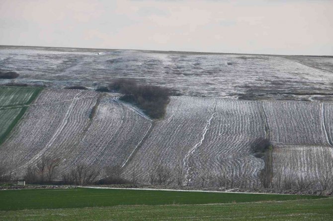Edirneli çiftçilerin yüzü yağan karla güldü