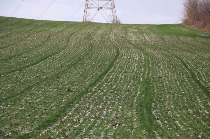 Edirneli çiftçilerin yüzü yağan karla güldü
