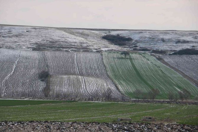 Edirneli çiftçilerin yüzü yağan karla güldü