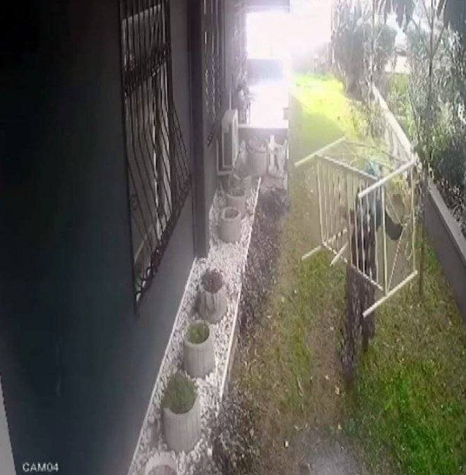 Görenlere ‘pes’ dedirten hırsızlık anları