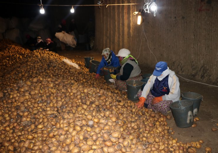 Mağarada saklı lezzet 'Sandıklı patatesi'