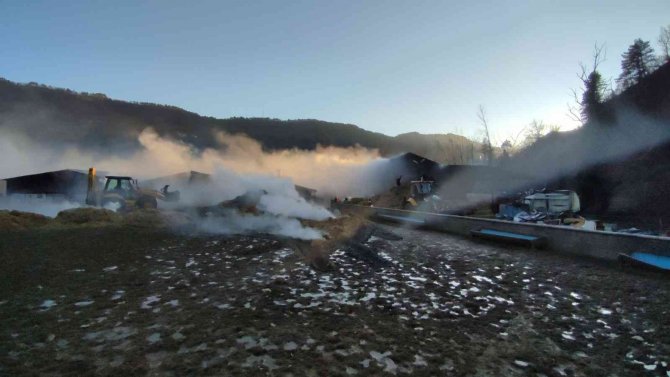 Saman balyası deposunda çıkan yangın büyümeden söndürüldü