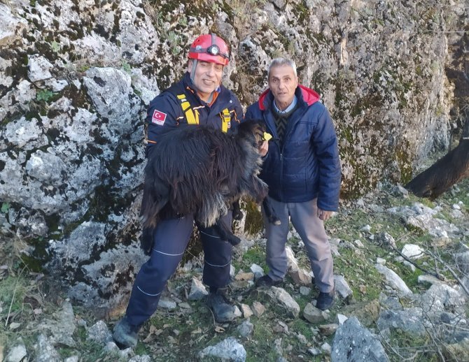 Uçurumda mahsur kalan keçiyi AFAD kurtardı