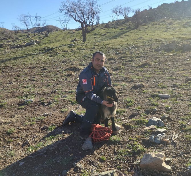 Uçurumda mahsur kalan keçiyi AFAD kurtardı