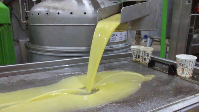 Zeytin OSB’de fabrikalar çalışmaya başladı