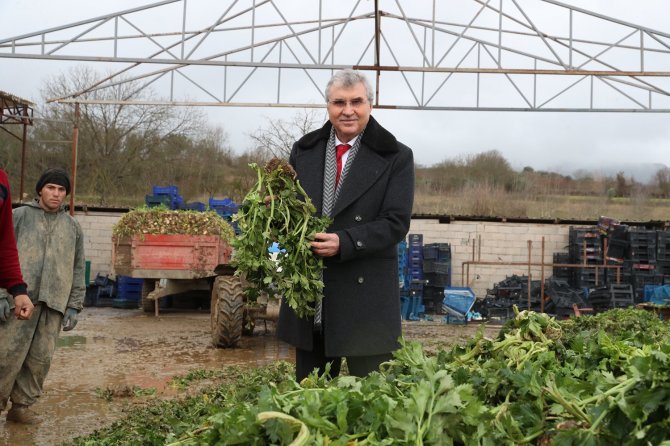 Sakarya tarımına ivme katacak projede sona gelindi