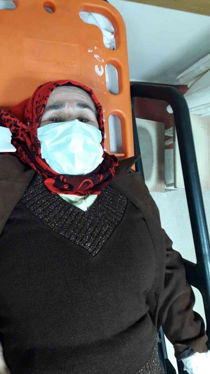 Sokak köpekleri yaşlı kadını hastanelik etti