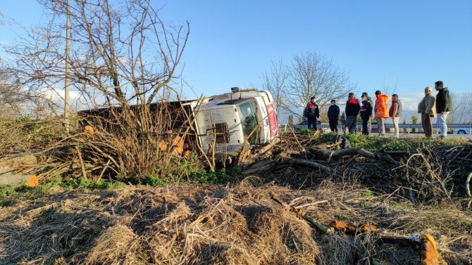 Tomruk yüklü kamyon devrildi, sürücünün burnu bile kanamadı