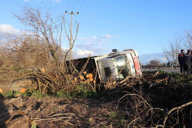 Tomruk yüklü kamyon devrildi, sürücünün burnu bile kanamadı