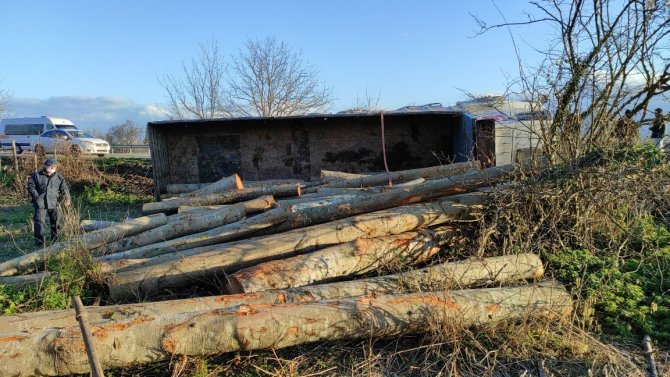 Tomruk yüklü kamyon devrildi, sürücünün burnu bile kanamadı
