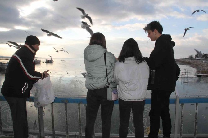 Beyşehir Gölü kıyıları buz tuttu