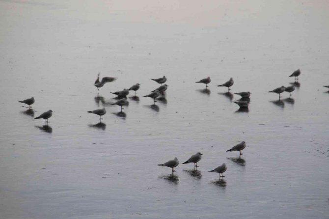 Beyşehir Gölü kıyıları buz tuttu