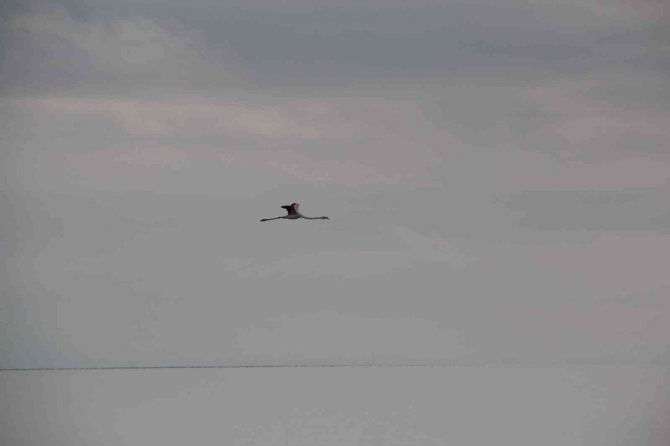 Kuş Cenneti Beyşehir Gölü’nde 2022 yılı KOSKS çalışmaları sona erdi