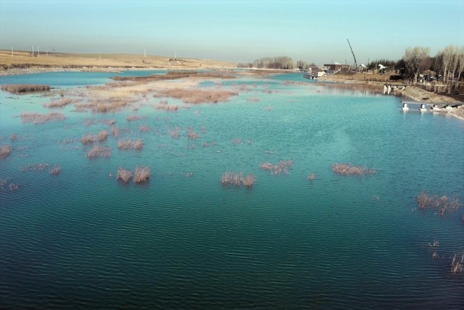 Konya Ovası'nın kuraklıktan etkilenmeyen gölü koruma altına alındı